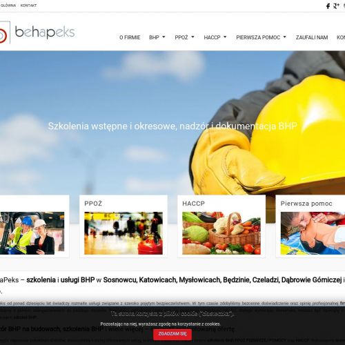 Szkolenia bhp e-learning - Sosnowiec