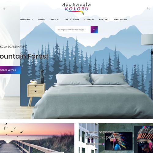 Wieluń - drukarnia koloru