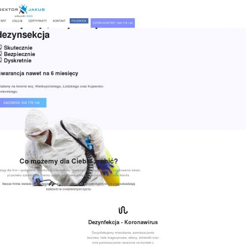 Zwalczanie karaluchów - Września