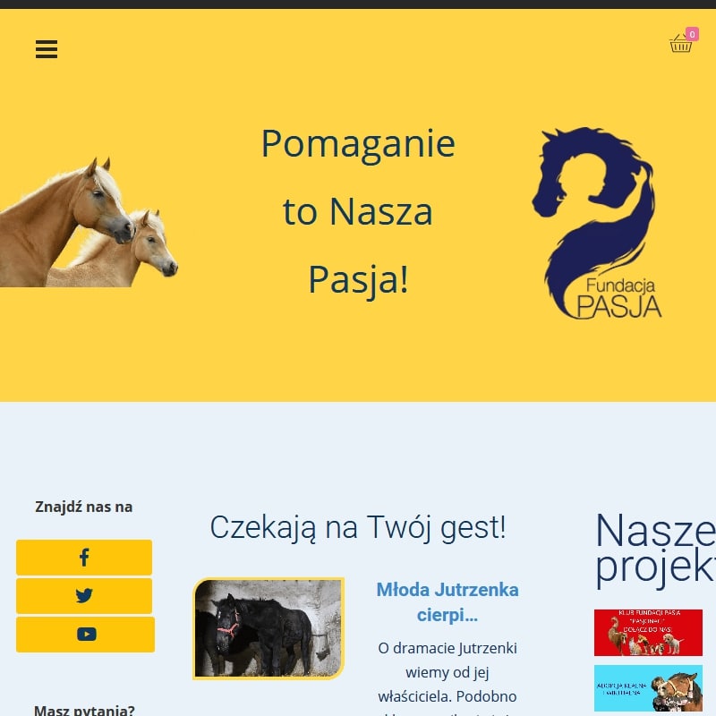 Ratowanie koni z rzeźni