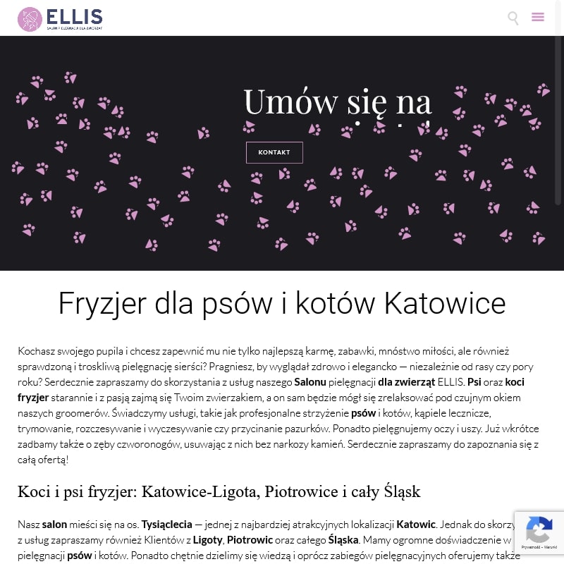 Psi fryzjer katowice piotrowice w Rudzie Śląskiej