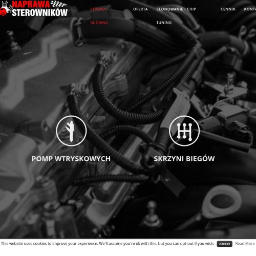 Kraków - naprawa sterownika abs