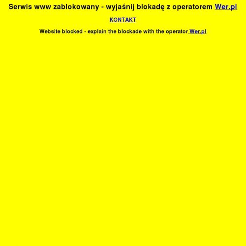 Figurki żołnierzy z ii wojny światowej