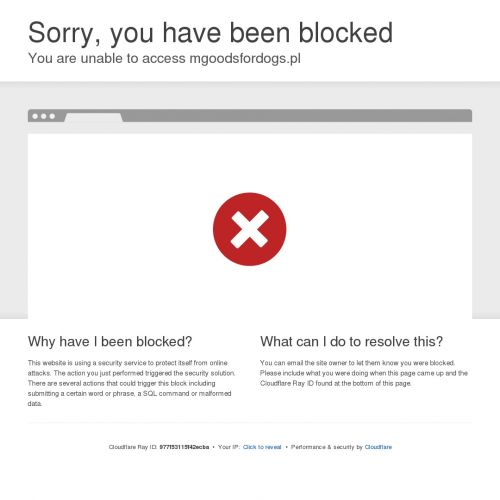 Gumowe ringo dla psa